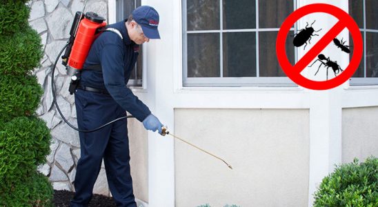 Yayladere Gümüşkurt İlaçlama böcek ilaçlama ve haşere kontrolü — ilaclama-tr.com
